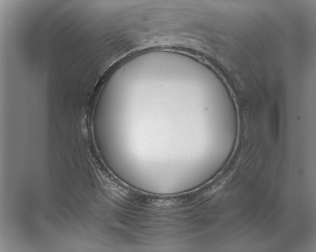 X0000074951497200609221717