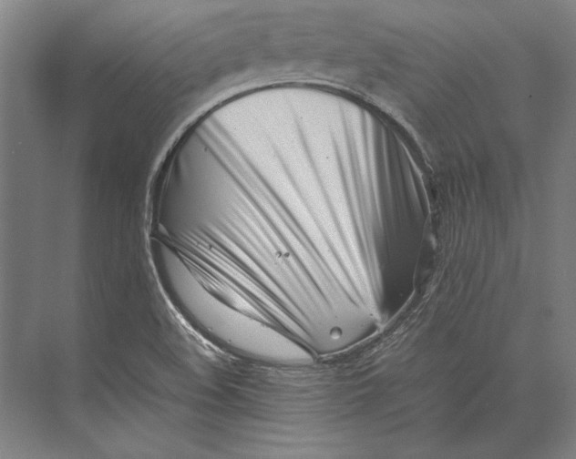 X0000074951508200609221717