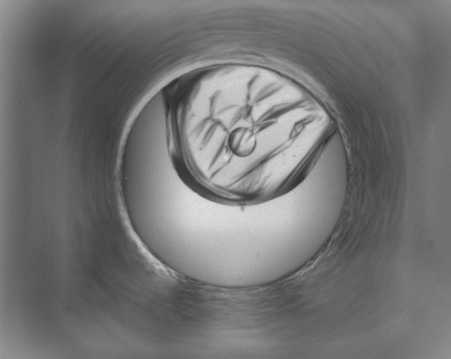 X0000074951536200609221718