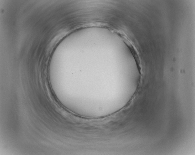 X0000074950001200609291859