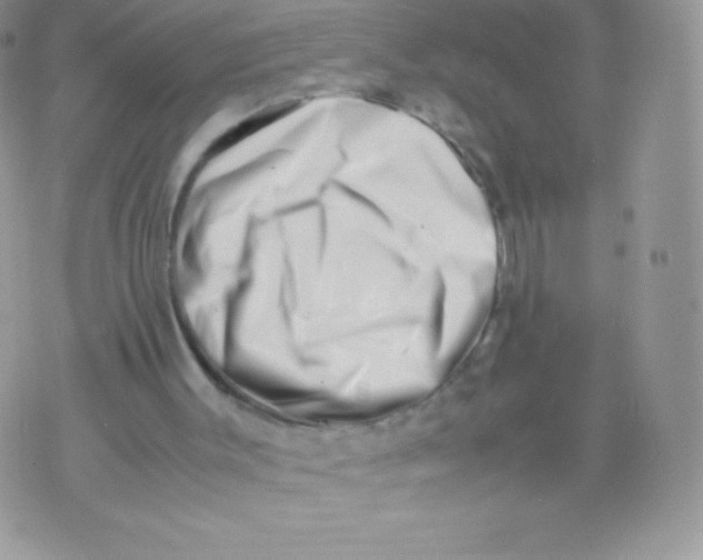 X0000074950003200609291859