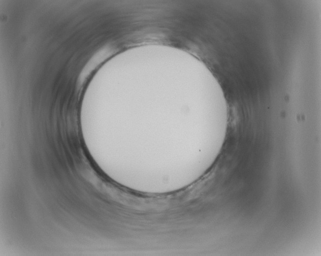 X0000074950004200609291859