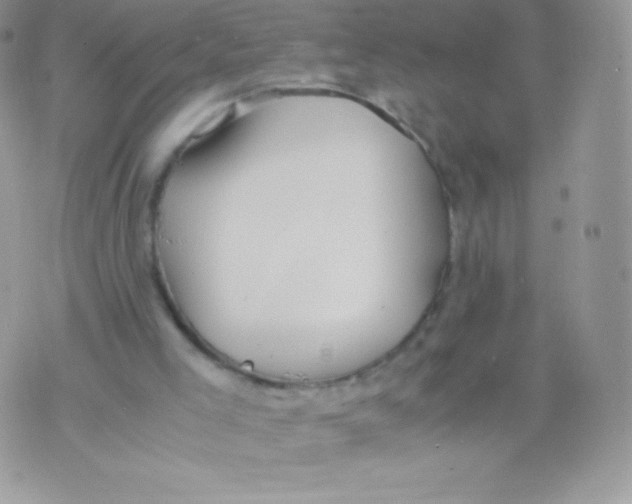 X0000074950005200609291859