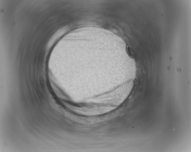 X0000074950006200609291859