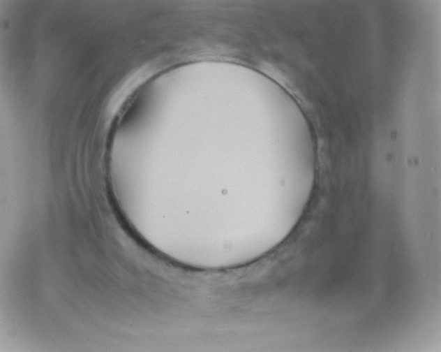 X0000074950007200609291859