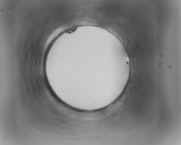 X0000074950008200609291859