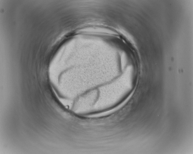 X0000074950009200609291859