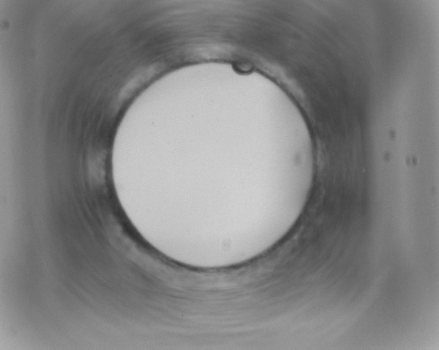 X0000074950010200609291859