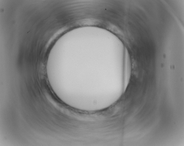 X0000074950012200609291859