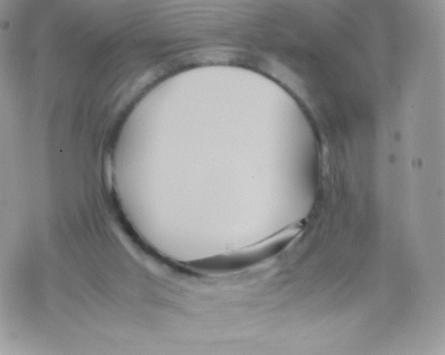 X0000074950013200609291859