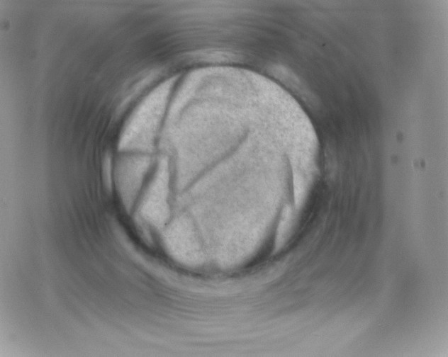 X0000074950014200609291859