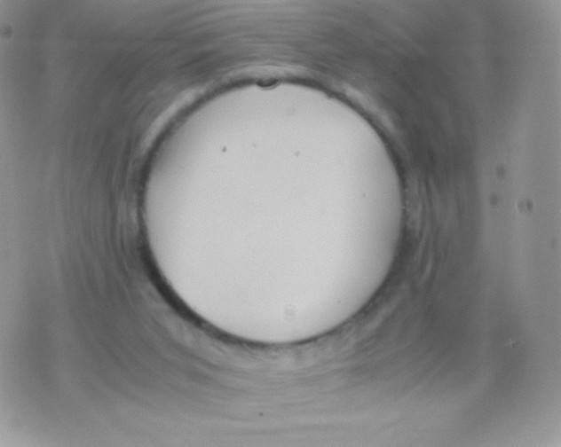 X0000074950015200609291859