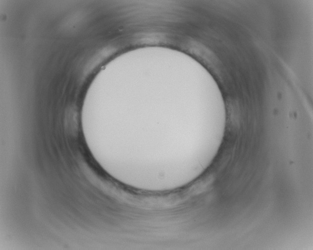 X0000074950016200609291859