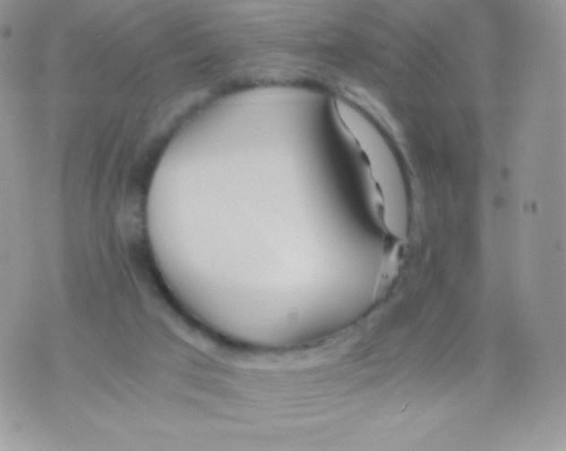 X0000074950017200609291859