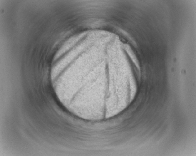 X0000074950018200609291859