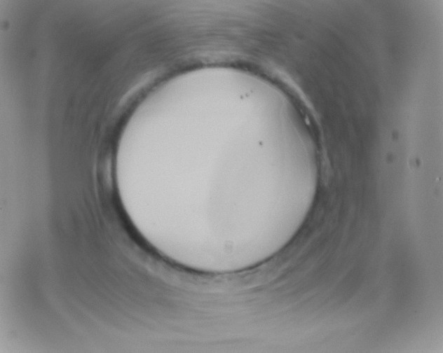 X0000074950019200609291859