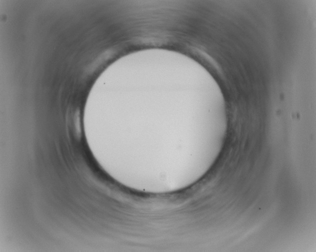 X0000074950020200609291859