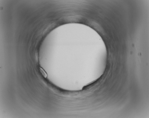 X0000074950021200609291859