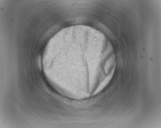 X0000074950022200609291859