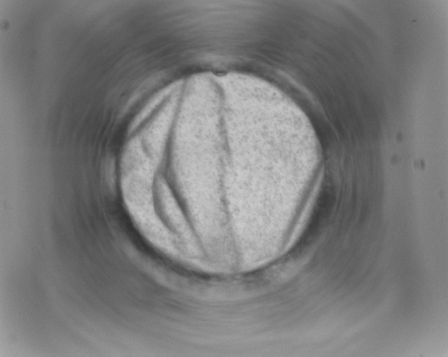 X0000074950024200609291859