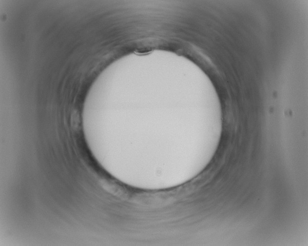 X0000074950025200609291859