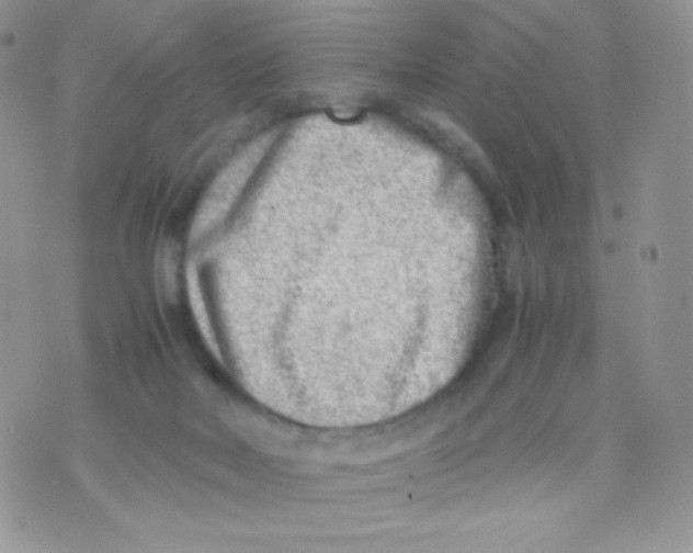 X0000074950026200609291859