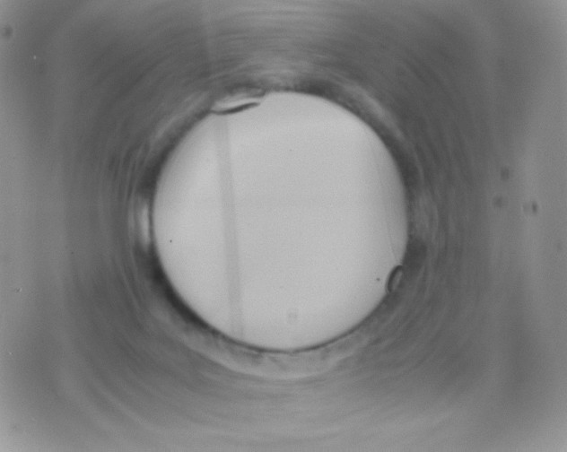 X0000074950027200609291859