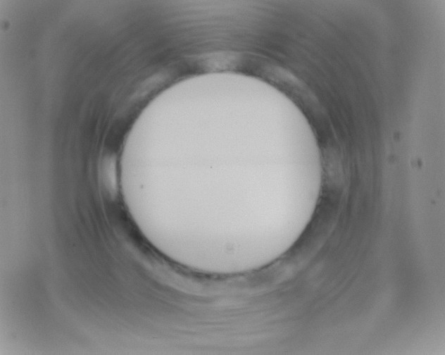 X0000074950028200609291859