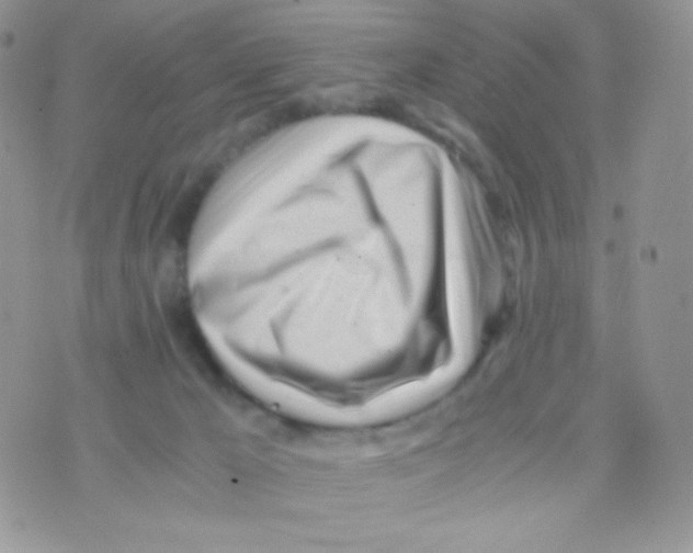 X0000074950029200609291859