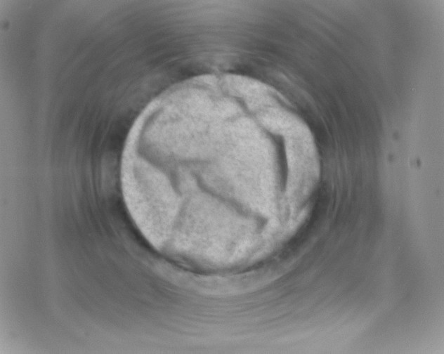 X0000074950030200609291859