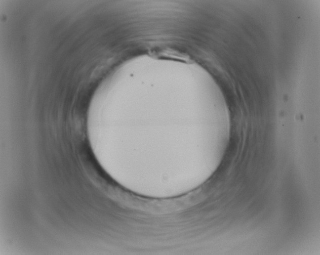 X0000074950031200609291858