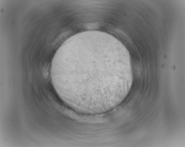 X0000074950032200609291858