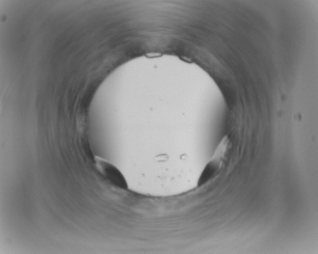 X0000074950033200609291858