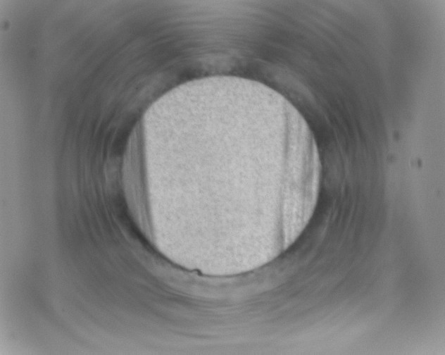 X0000074950034200609291858