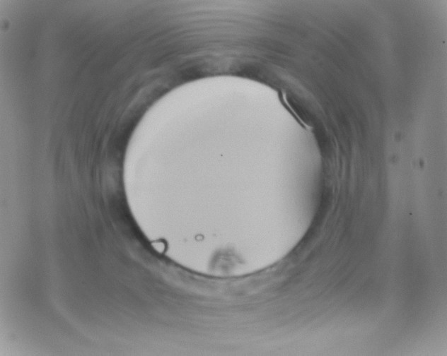 X0000074950035200609291858