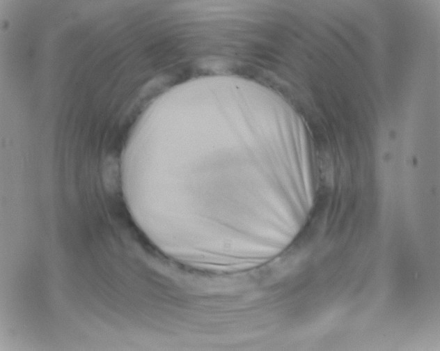 X0000074950036200609291858