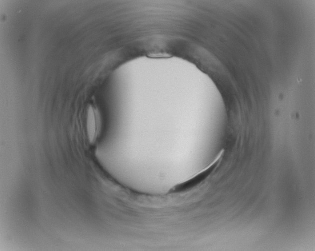 X0000074950037200609291858