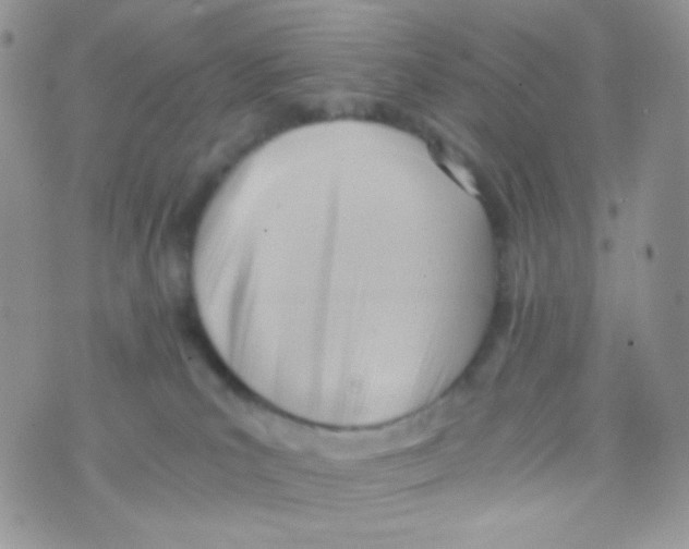 X0000074950039200609291858