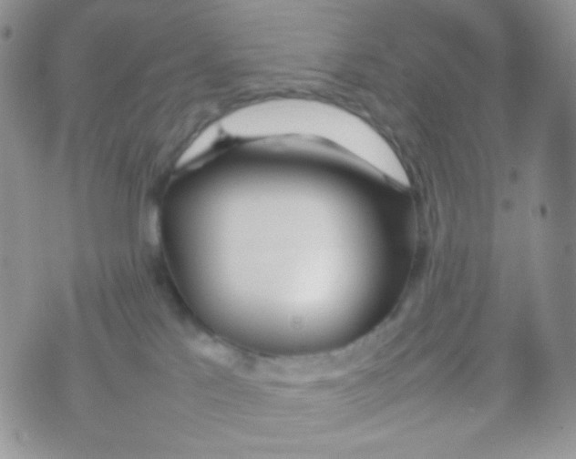 X0000074950041200609291858