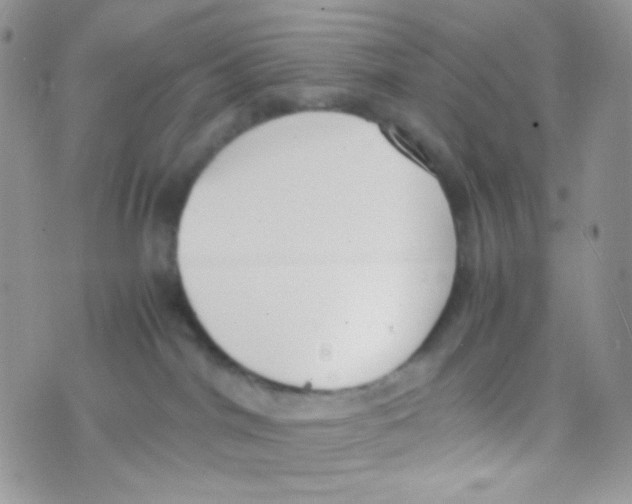 X0000074950044200609291858