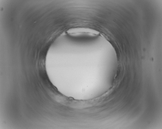 X0000074950045200609291858