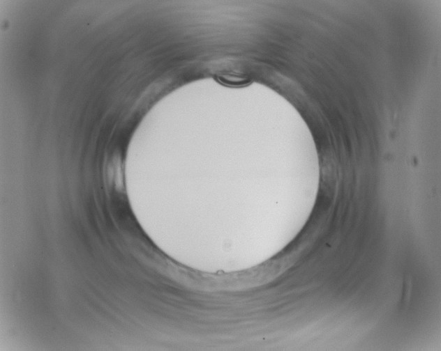 X0000074950046200609291858