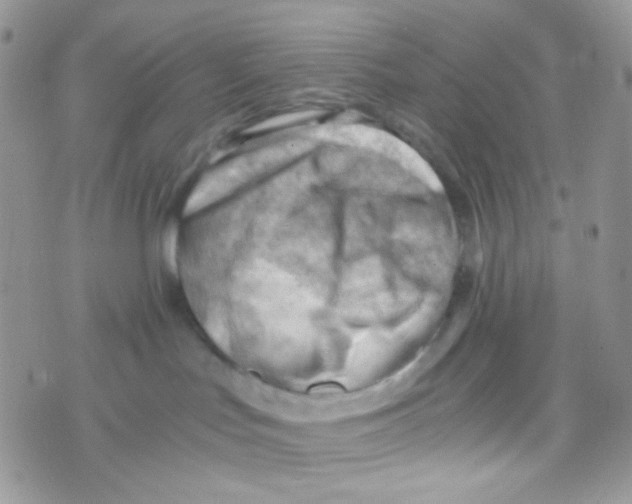 X0000074950047200609291858