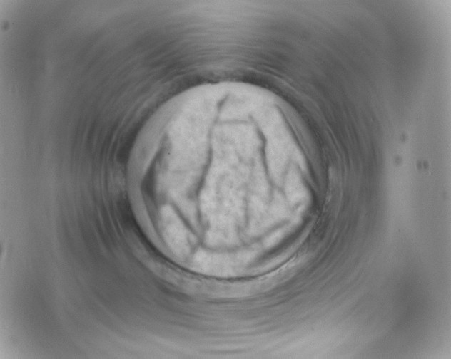 X0000074950048200609291858