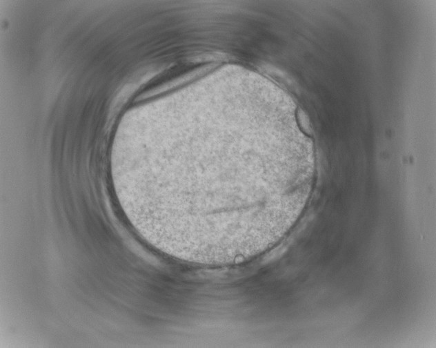 X0000074950049200609291857