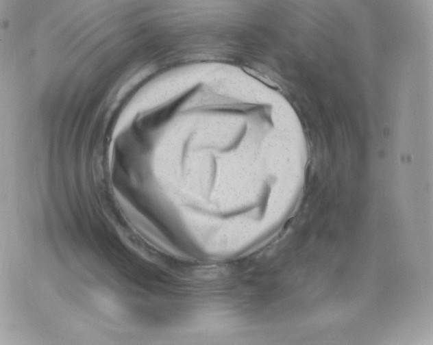 X0000074950050200609291857