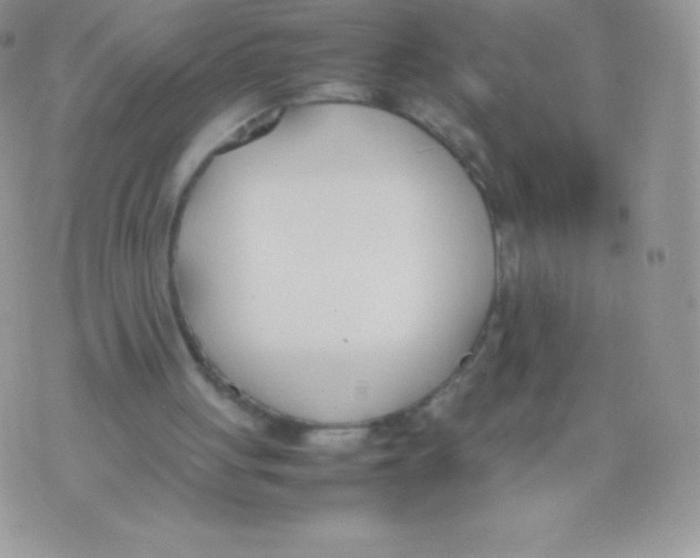 X0000074950051200609291857