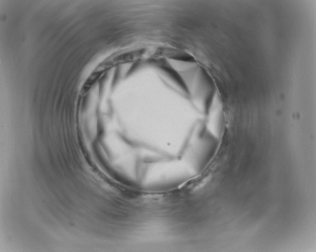 X0000074950052200609291857