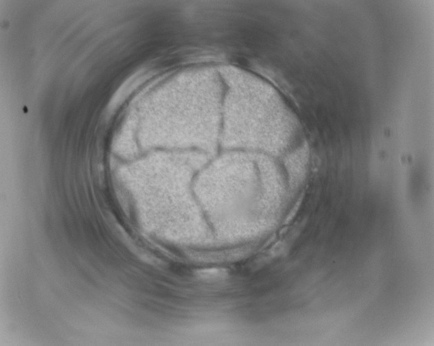 X0000074950053200609291858