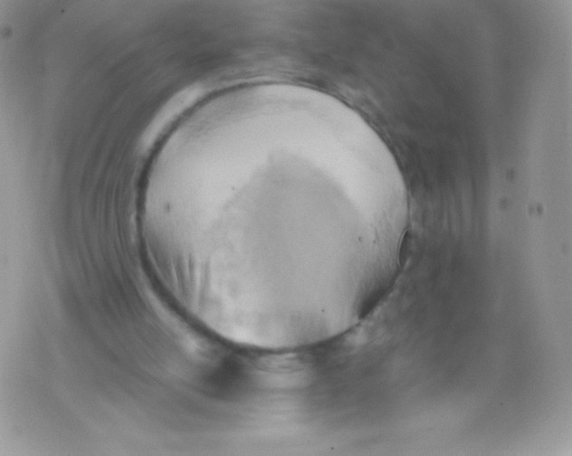 X0000074950054200609291858